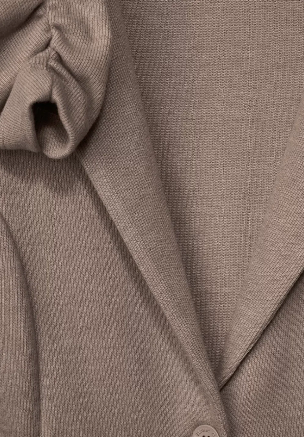 Blazer Mit Raffungen